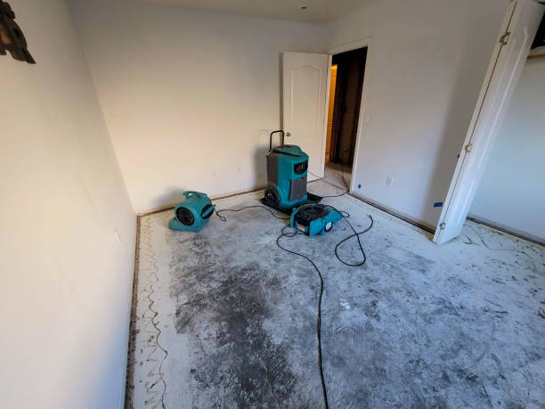 Best Emergency water damage restoration  in Lordsburg, NM