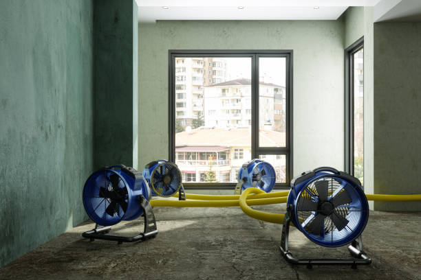 Water damage restoration experts in Lordsburg, NM